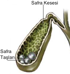 safra taslari
